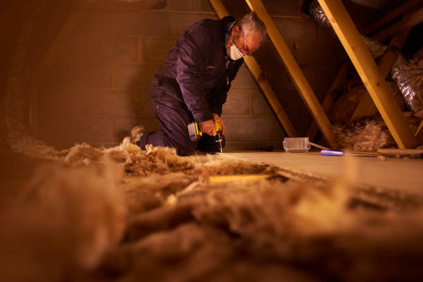 Best Residential Insulation Services  in Ottawa, KS